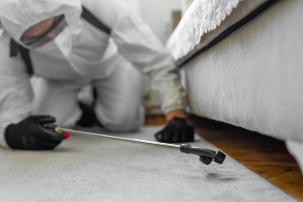 Professional Bed Bug Control technician working in Green County County, WI